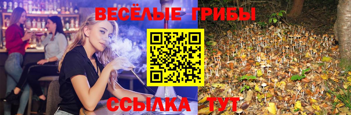 Урай  Псилоцибиновые грибы Psilocybe  Вход с VPN  Галлюциногенные грибы Cubensis 